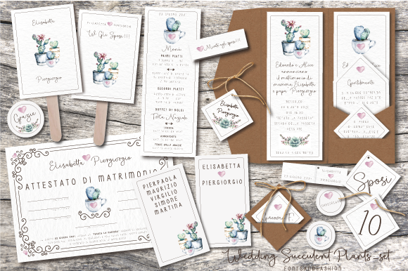 Wedding Succulent Plants_Set: A Design Asset Story